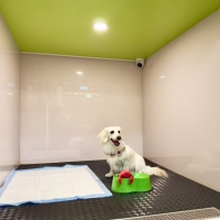 磨鼻子寵物旅館08