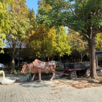 LINE_ALBUM_20220113-_220113_42