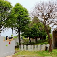 LINE_ALBUM_2022.1.13_220113_40