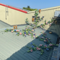 LINE_ALBUM_20220113-_220113_37