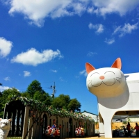 LINE_ALBUM_2022.1.13_220113_27