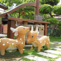 LINE_ALBUM_2022.1.13_220113_22